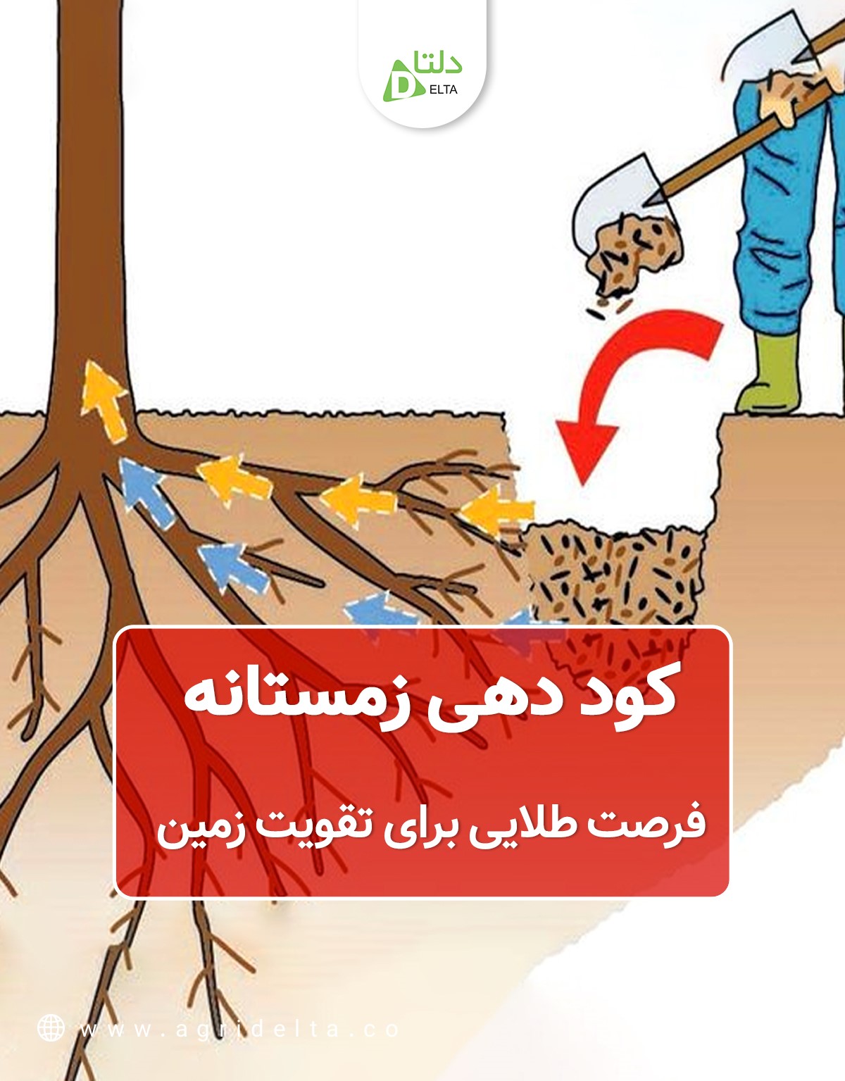 کود دهی زمستانه