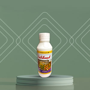 حشره کش گیسکایا