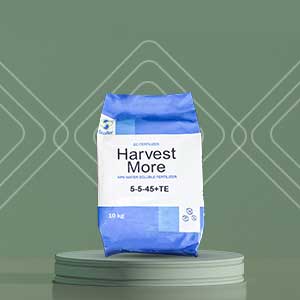 کود 45 5 5 استولر