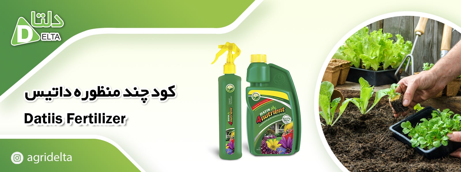 کود گیاهان خانگی داتیس فورنوترینت 