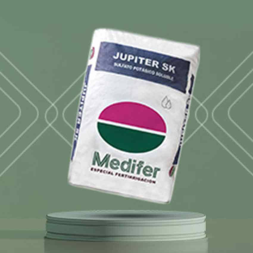 کود سولفات پتاسم مدیفر