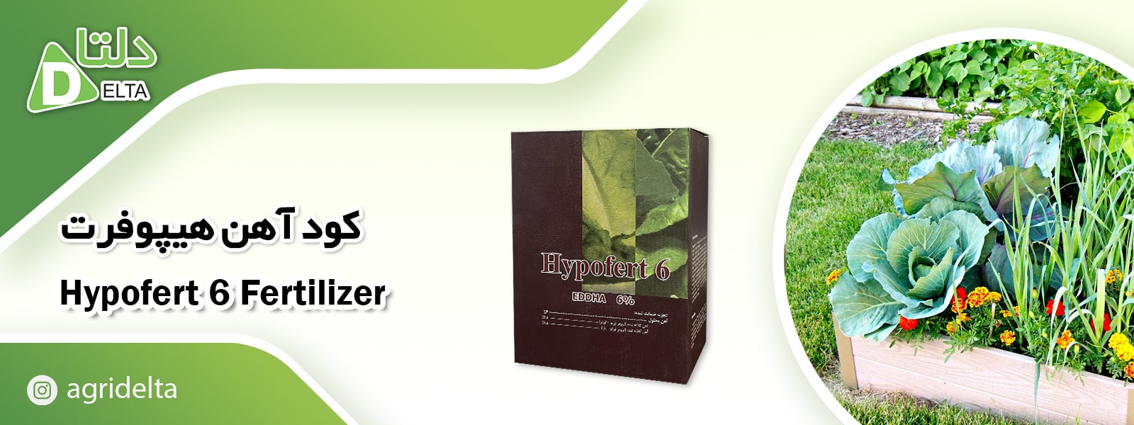 کلات آهن 6% هیپوفرت