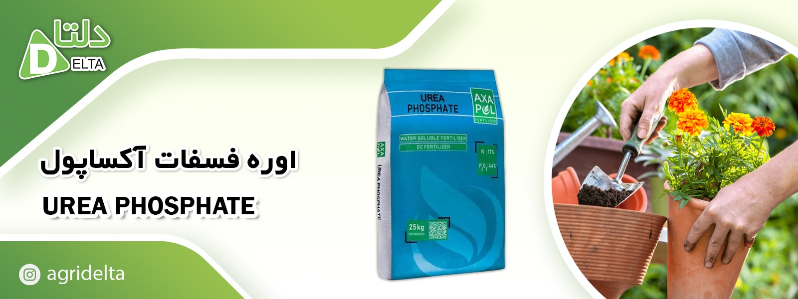 کود اوره فسفات آکساپول