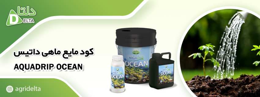 کود مایع ماهی داتیس