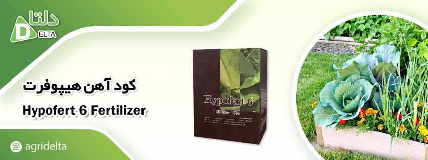 کلات آهن 6% هیپوفرت